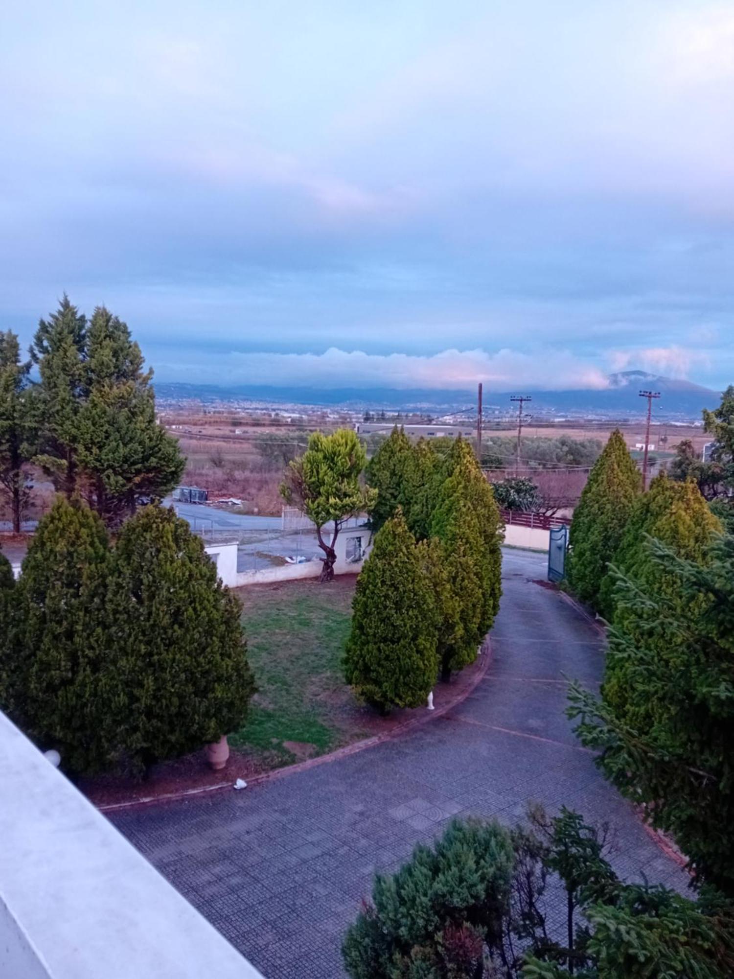 הוילה Livadaki  Πολυτελησ Βιλα 8 - 10 Ατομων Στην Περιοχη Αεροδρομιου Θεσσαλονικησ מראה חיצוני תמונה